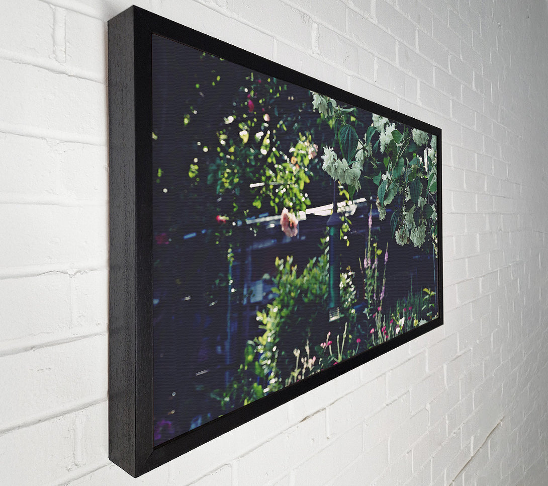  A Canvas Print of White Blooms In The Garden Canvas Print