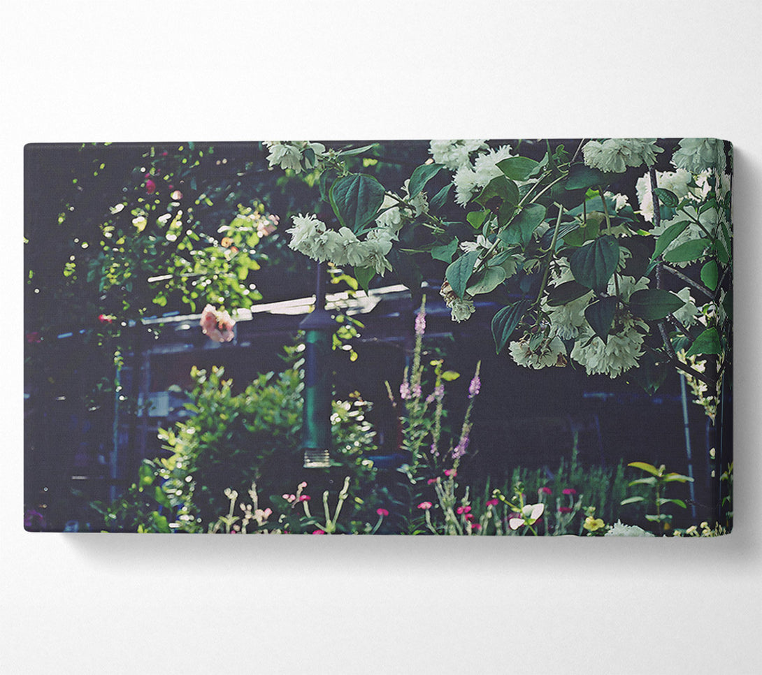  A Canvas Print of White Blooms In The Garden Canvas Print