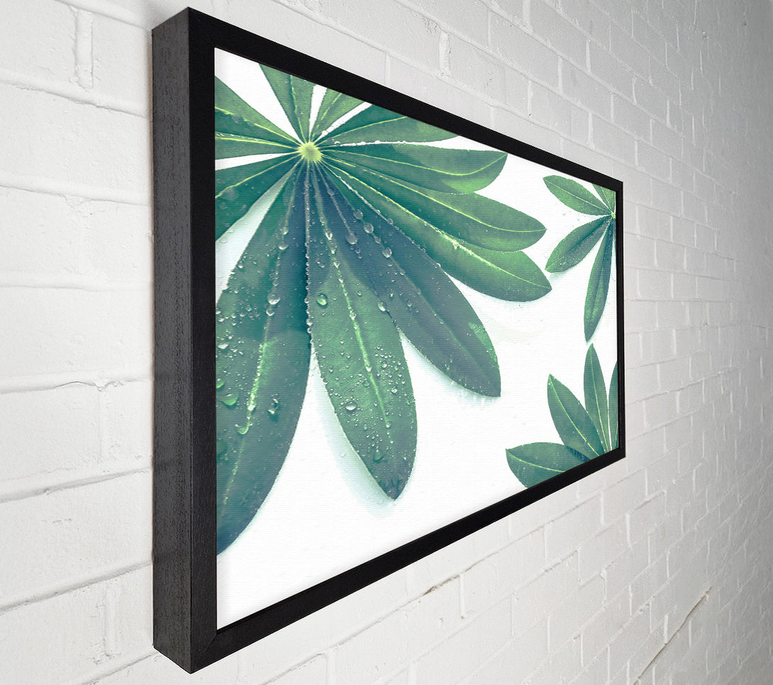  A Canvas Print of Emerald Dewy Leaves Canvas Print