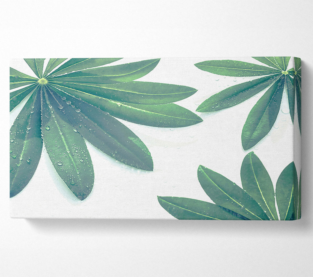  A Canvas Print of Emerald Dewy Leaves Canvas Print