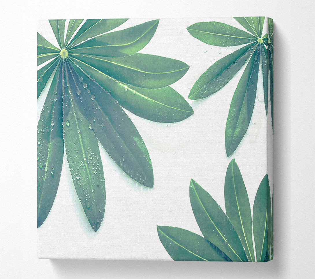  A Canvas Print of Emerald Dewy Leaves Canvas Print