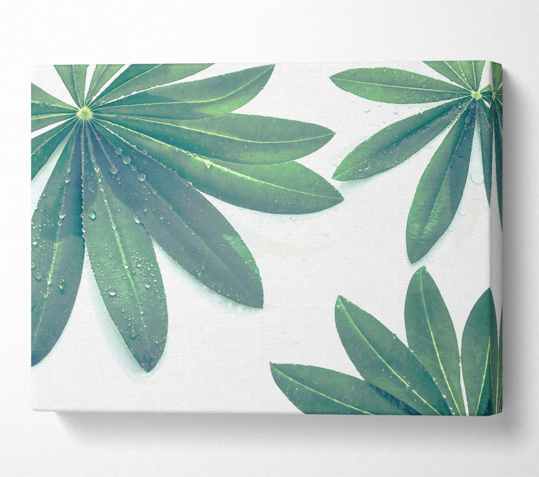  A Canvas Print of Emerald Dewy Leaves Canvas Print