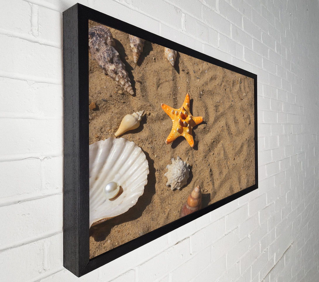  A Canvas Print of Orange Starfish Treasure Canvas Wall Art