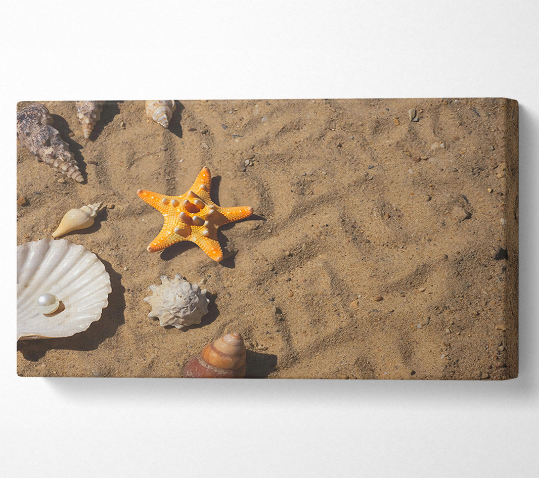  A Canvas Print of Orange Starfish Treasure Canvas Wall Art