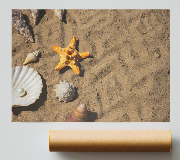 Orange Starfish Treasure Poster