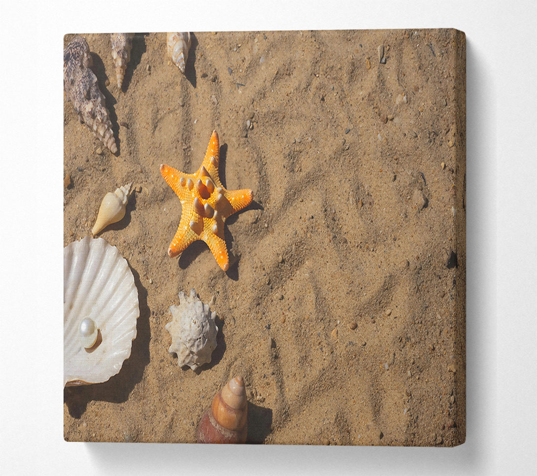  A Canvas Print of Orange Starfish Treasure Canvas Wall Art