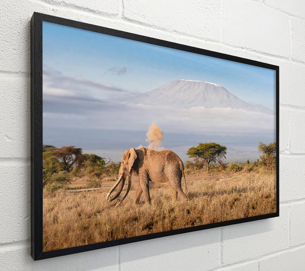 Golden Elephant Dusting