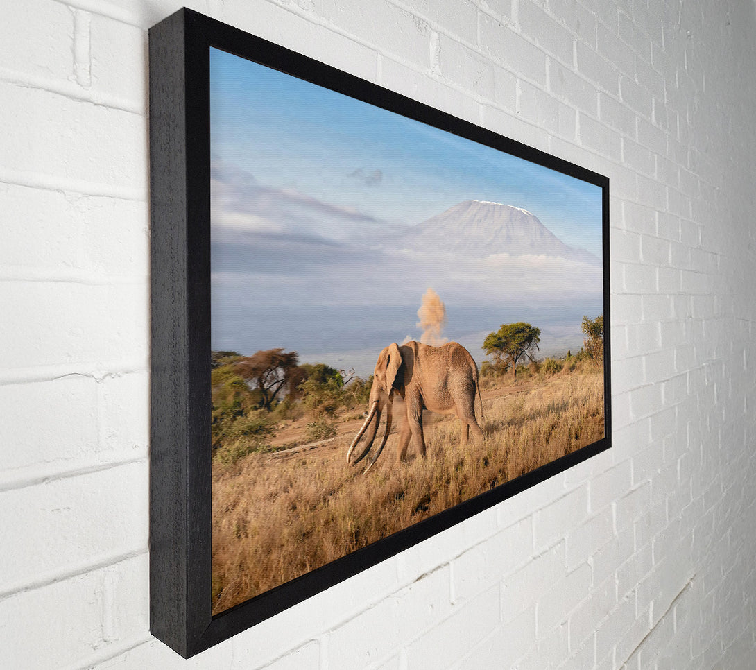  A Canvas Print of Golden Elephant Dusting Canvas Art