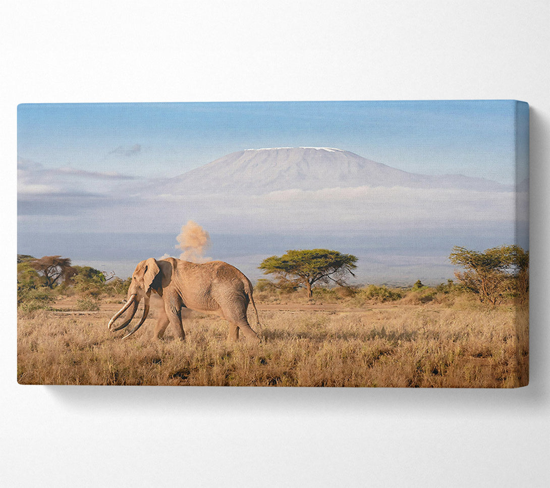  A Canvas Print of Golden Elephant Dusting Canvas Art