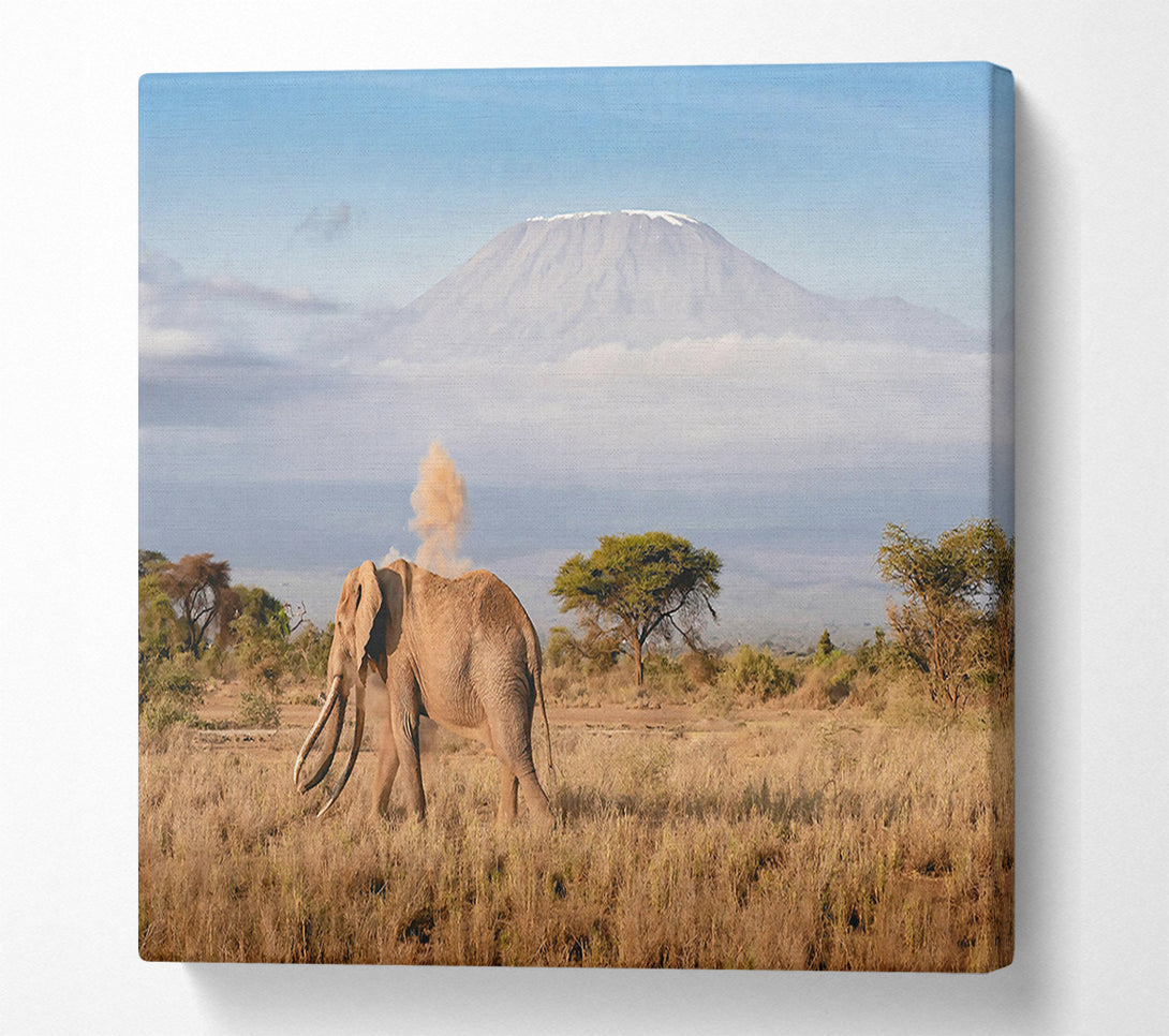  A Canvas Print of Golden Elephant Dusting Canvas Art