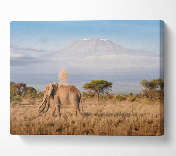  A Canvas Print of Golden Elephant Dusting Canvas Art