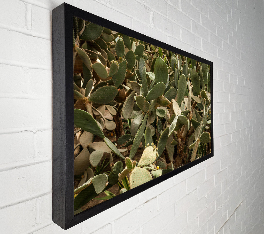  A Canvas Print of Green Prickly Patch Canvas Print
