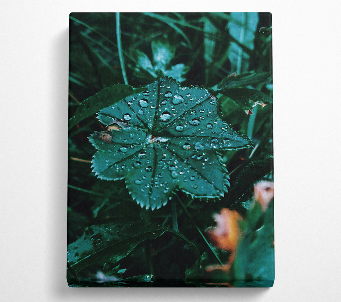  A Canvas Print of Emerald Dew Drops Canvas Wall Art