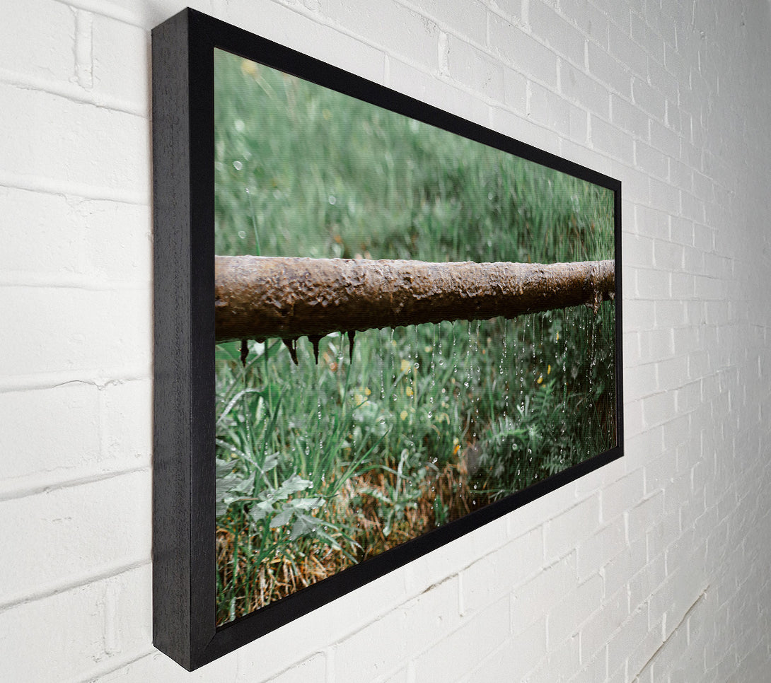  A Canvas Print of Green Leaking Pipe Canvas Print