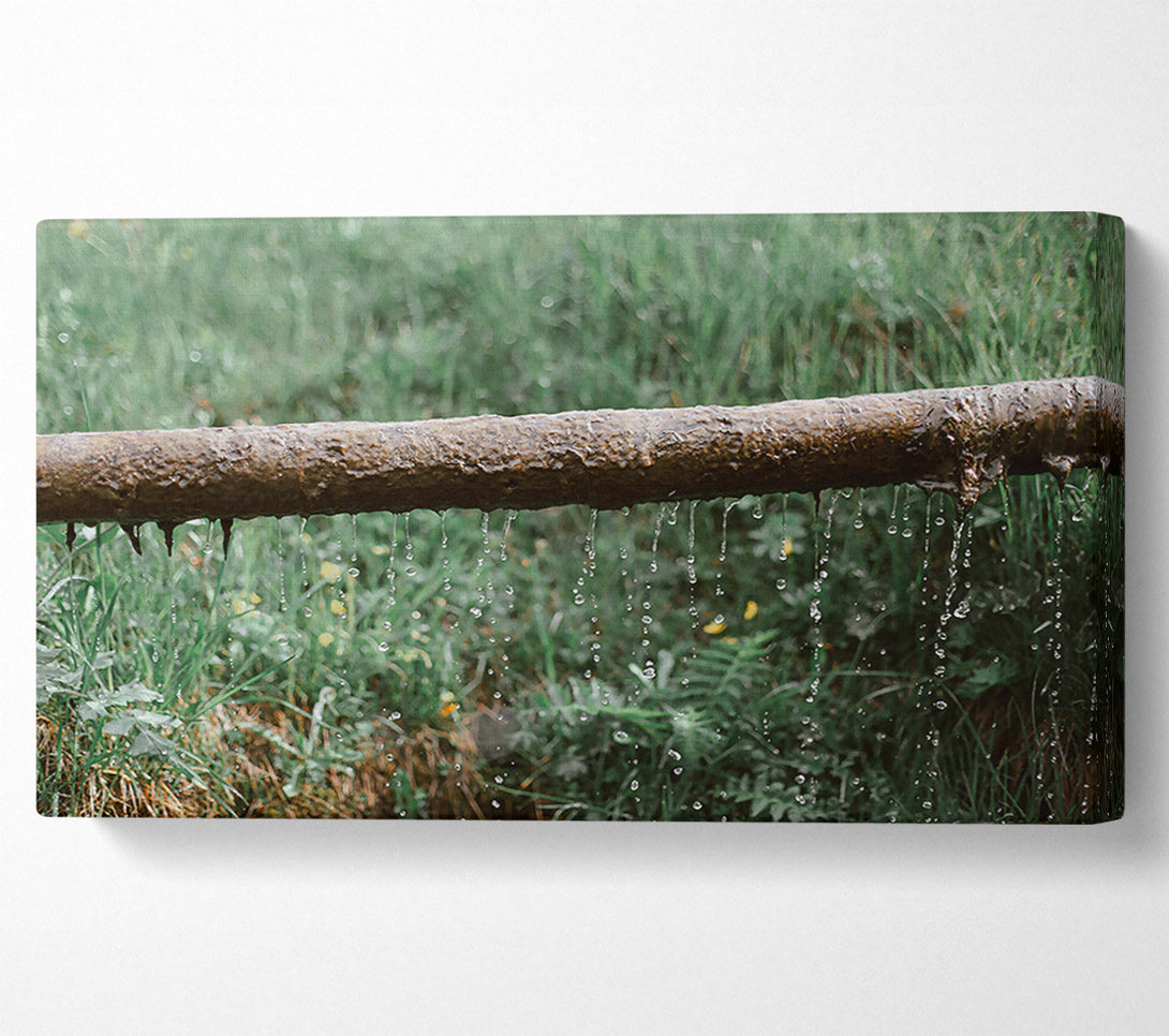  A Canvas Print of Green Leaking Pipe Canvas Print