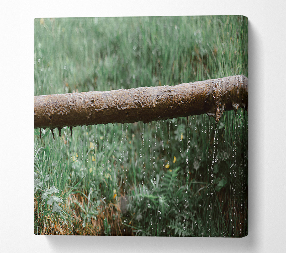  A Canvas Print of Green Leaking Pipe Canvas Print