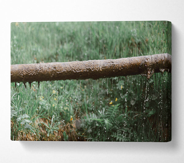  A Canvas Print of Green Leaking Pipe Canvas Print
