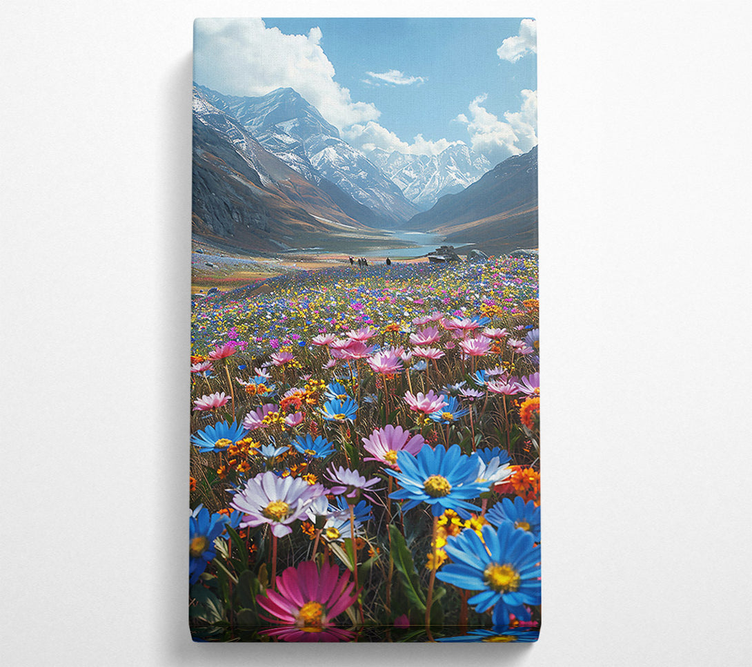  A Canvas Print of Blue Mountain Bloom Canvas Print