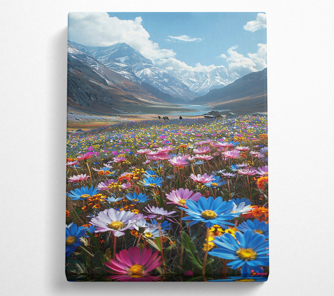  A Canvas Print of Blue Mountain Bloom Canvas Print