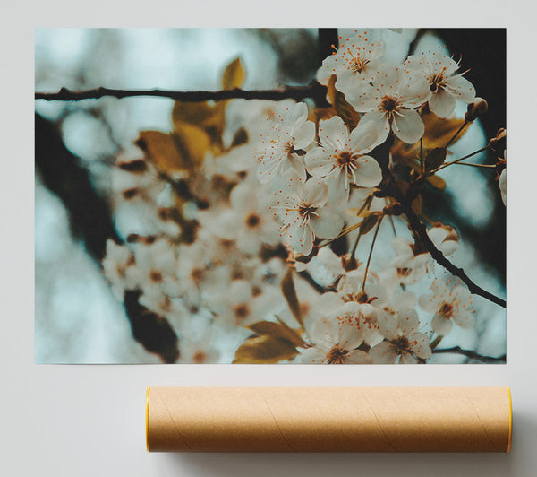Teal Spring Blossoms Print