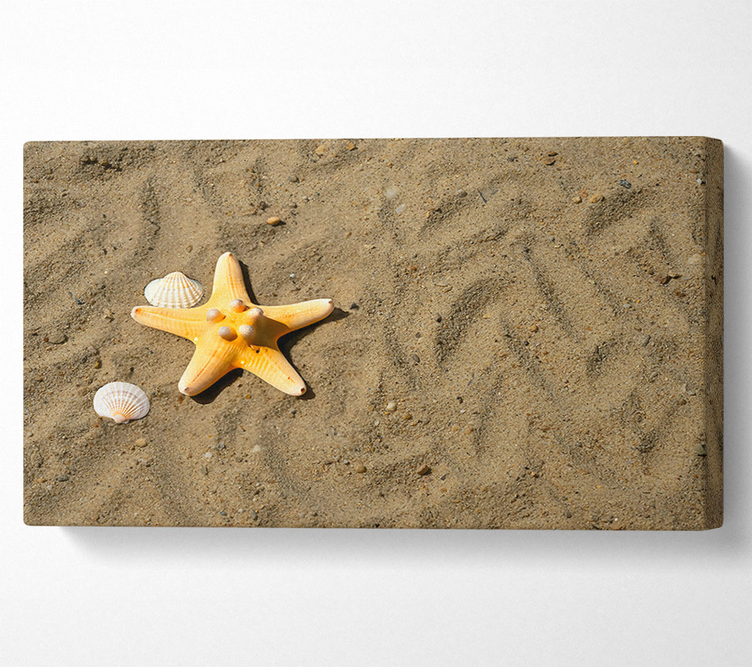  A Canvas Print of Golden Starfish Shore Canvas Print