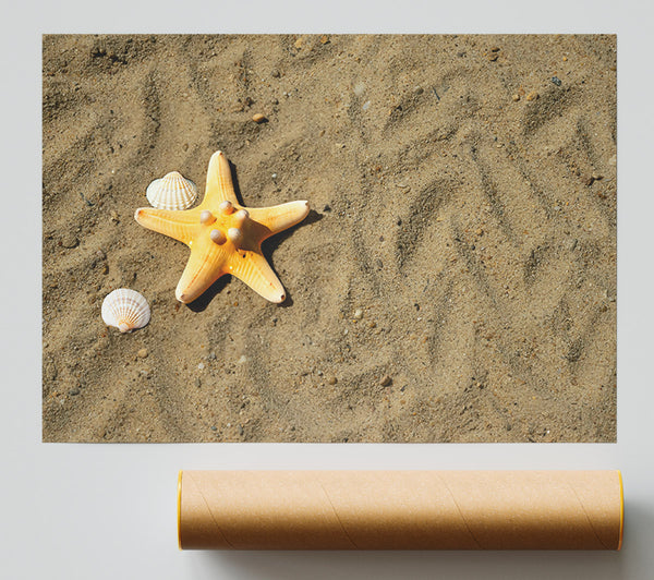 Golden Starfish Shore Print