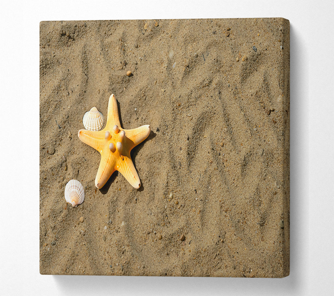  A Canvas Print of Golden Starfish Shore Canvas Print