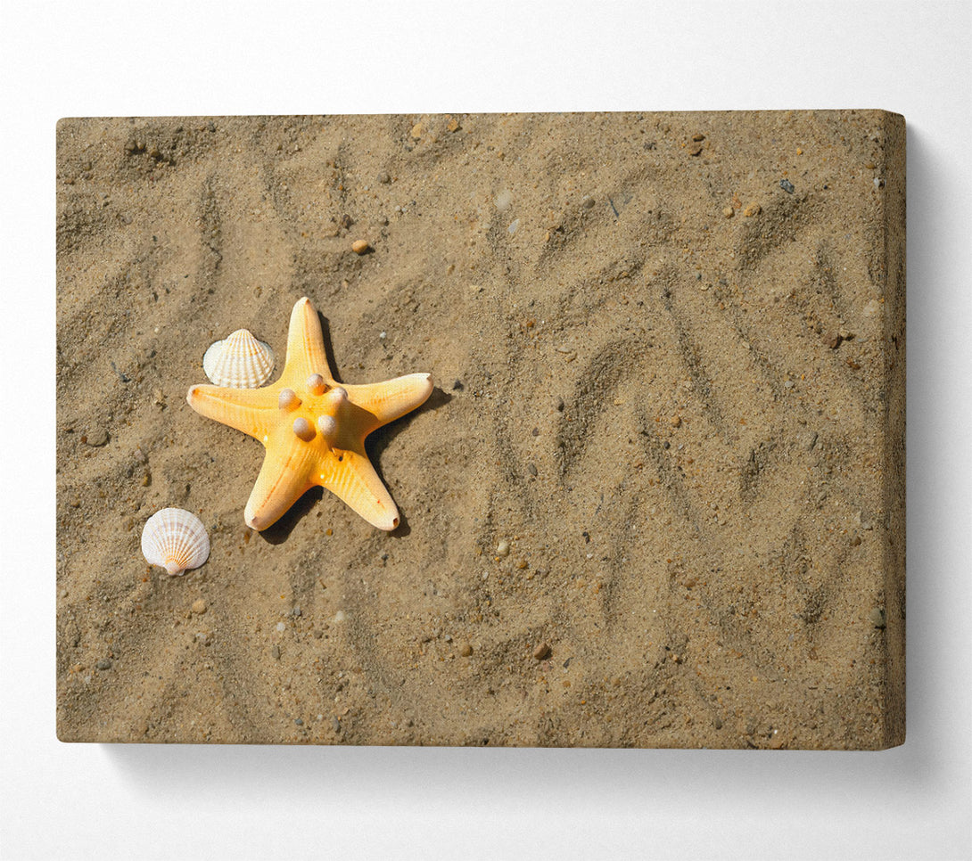  A Canvas Print of Golden Starfish Shore Canvas Print