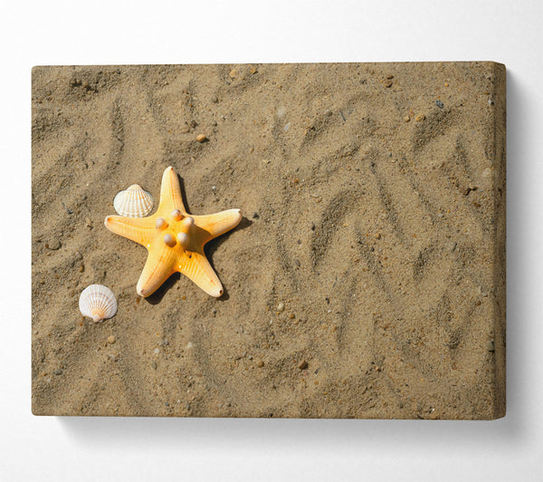  A Canvas Print of Golden Starfish Shore Canvas Print