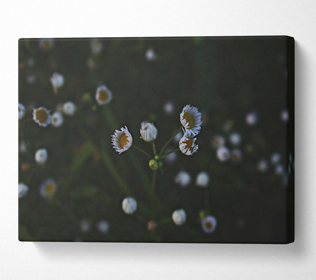  A Canvas Print of Green And White Blooms Canvas Art
