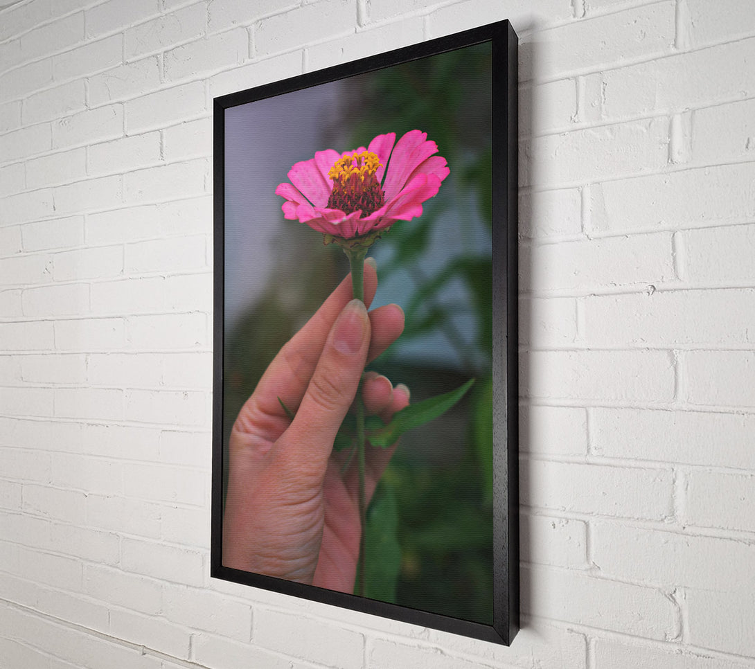  A Canvas Print of Pink Flower'S Embrace Canvas Wall Art