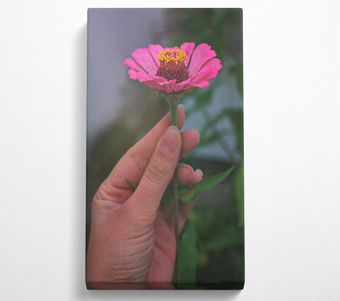  A Canvas Print of Pink Flower'S Embrace Canvas Wall Art