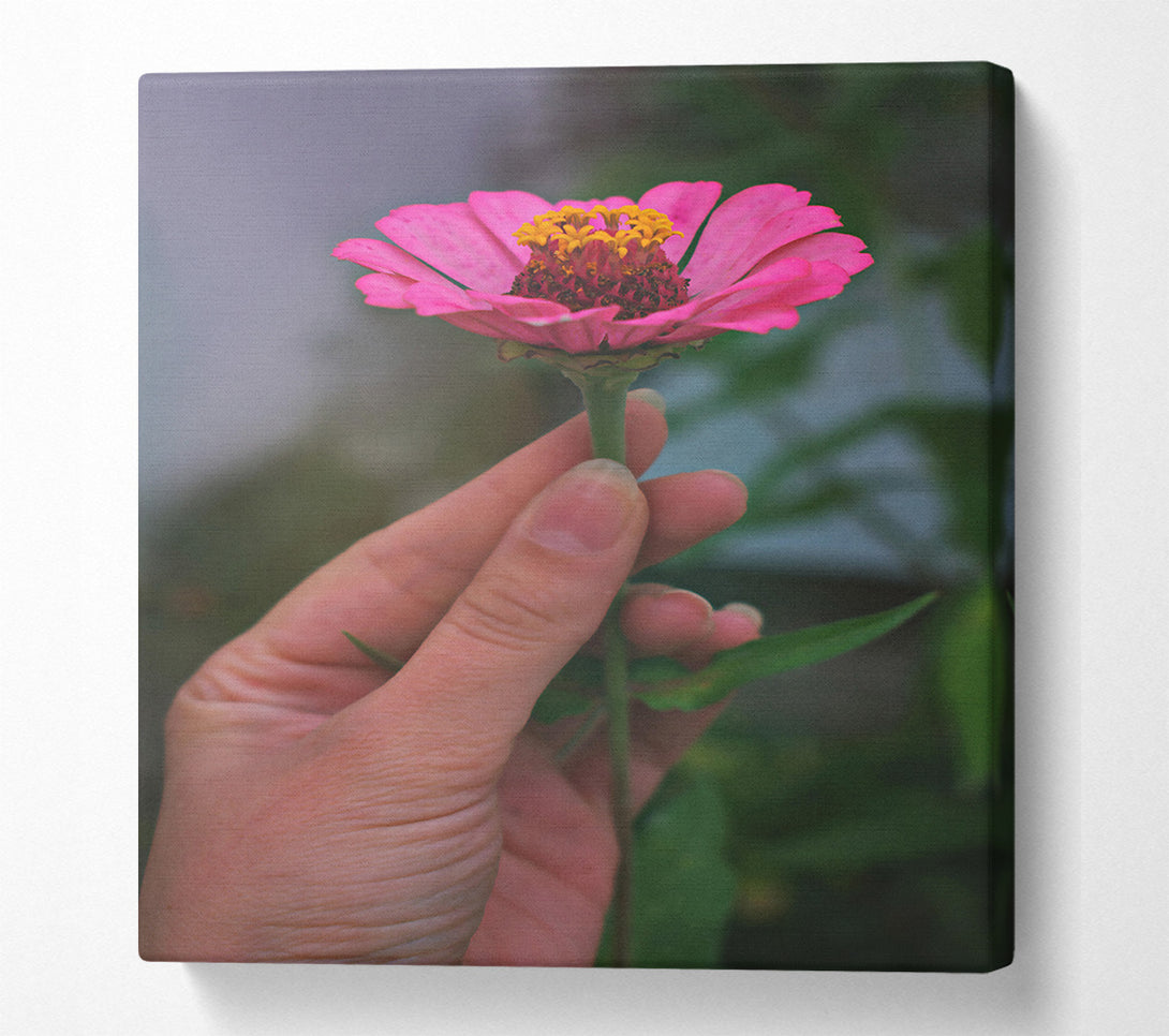  A Canvas Print of Pink Flower'S Embrace Canvas Wall Art