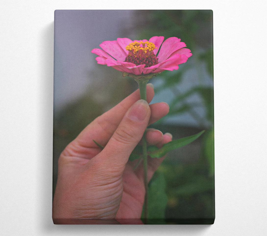  A Canvas Print of Pink Flower'S Embrace Canvas Wall Art