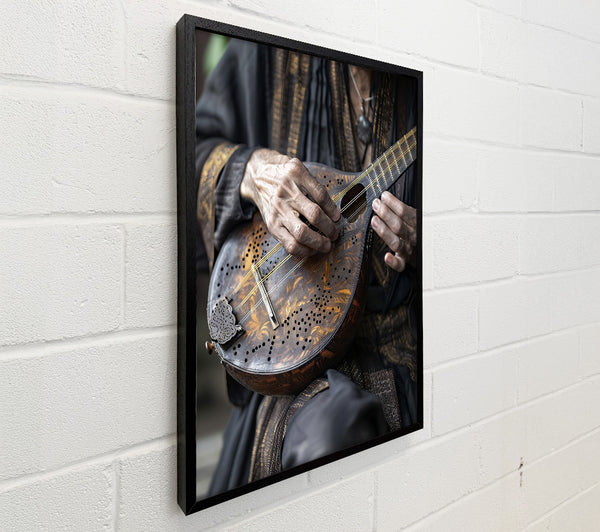 Golden Stringed Melody