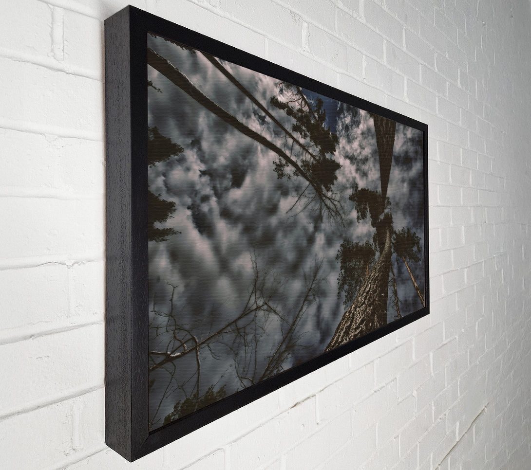  A Canvas Print of Grey Sky Canopy Canvas Wall Art