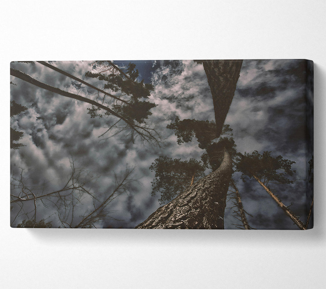  A Canvas Print of Grey Sky Canopy Canvas Wall Art