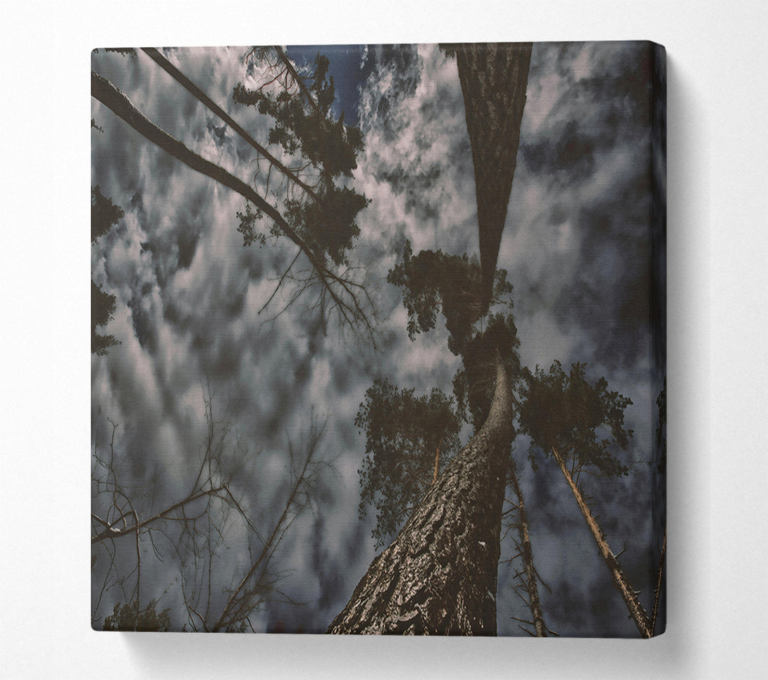  A Canvas Print of Grey Sky Canopy Canvas Wall Art