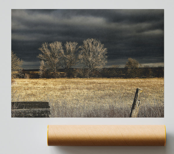 Golden Field Beneath Gloom Giclee Print
