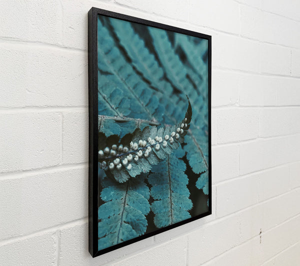 Teal Fern Fronds
