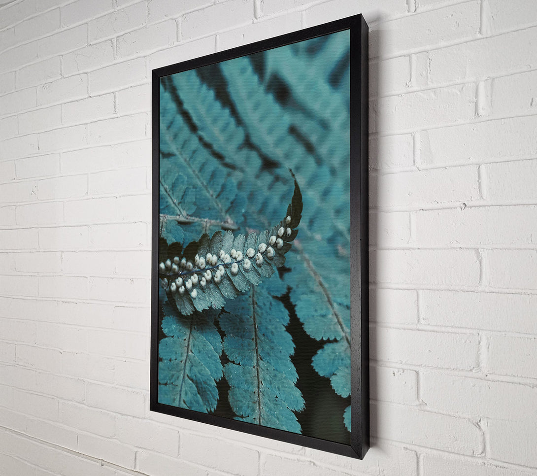  A Canvas Print of Teal Fern Fronds Canvas Print