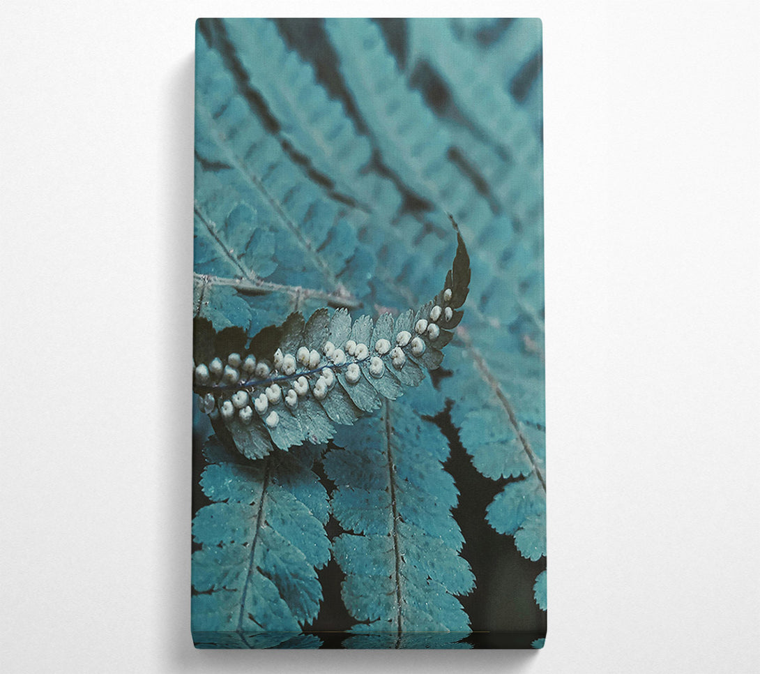  A Canvas Print of Teal Fern Fronds Canvas Print