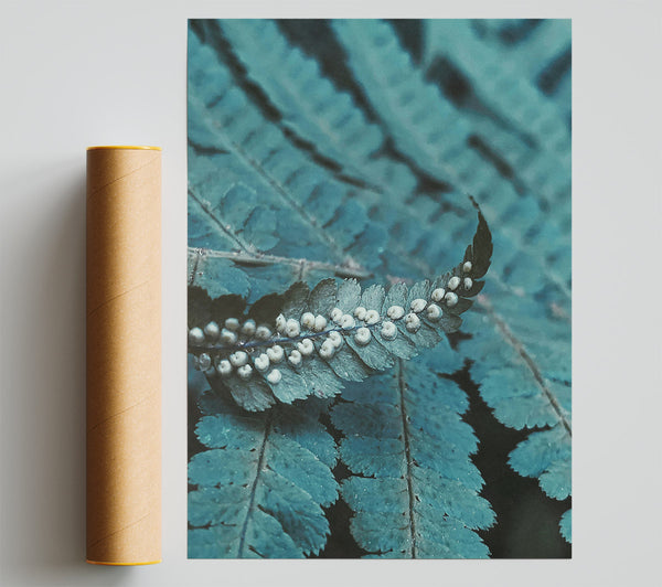 Teal Fern Fronds Giclee Print