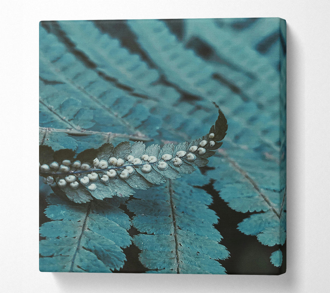  A Canvas Print of Teal Fern Fronds Canvas Print