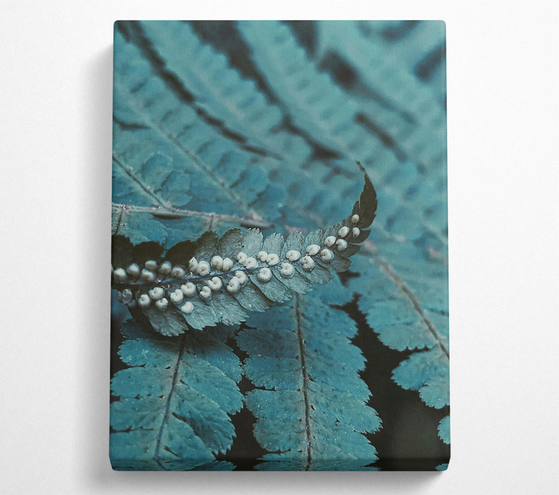  A Canvas Print of Teal Fern Fronds Canvas Print