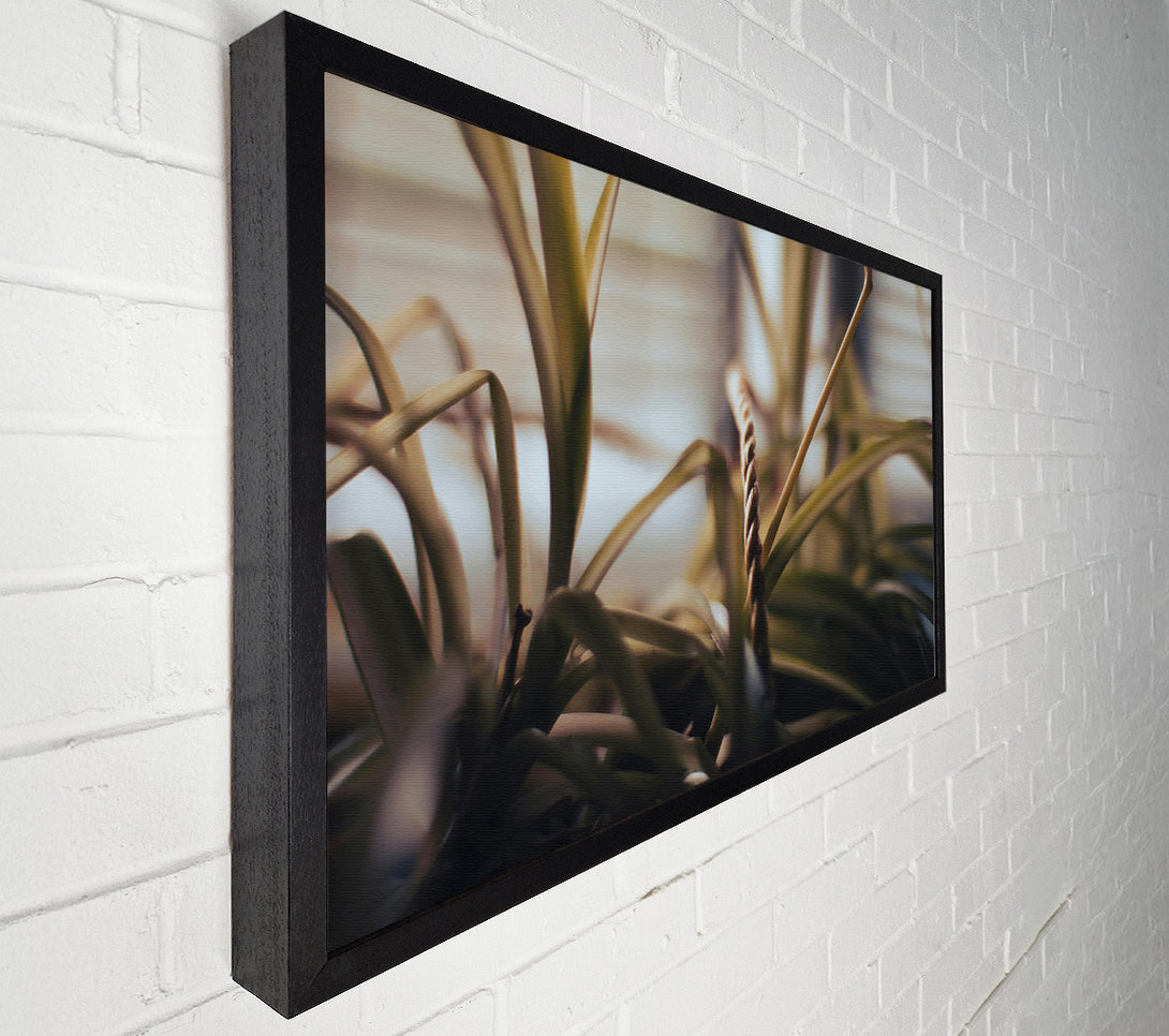  A Canvas Print of Golden Green Embrace Canvas Wall Art