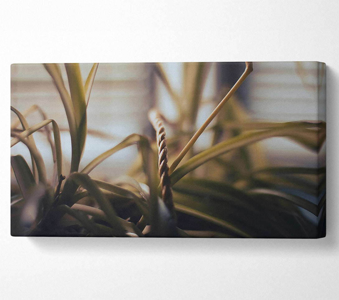  A Canvas Print of Golden Green Embrace Canvas Wall Art