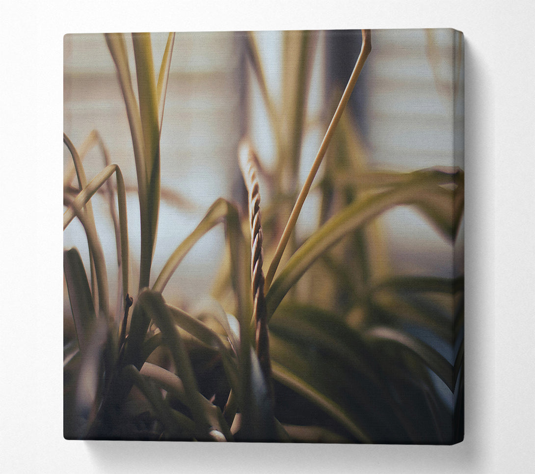  A Canvas Print of Golden Green Embrace Canvas Wall Art
