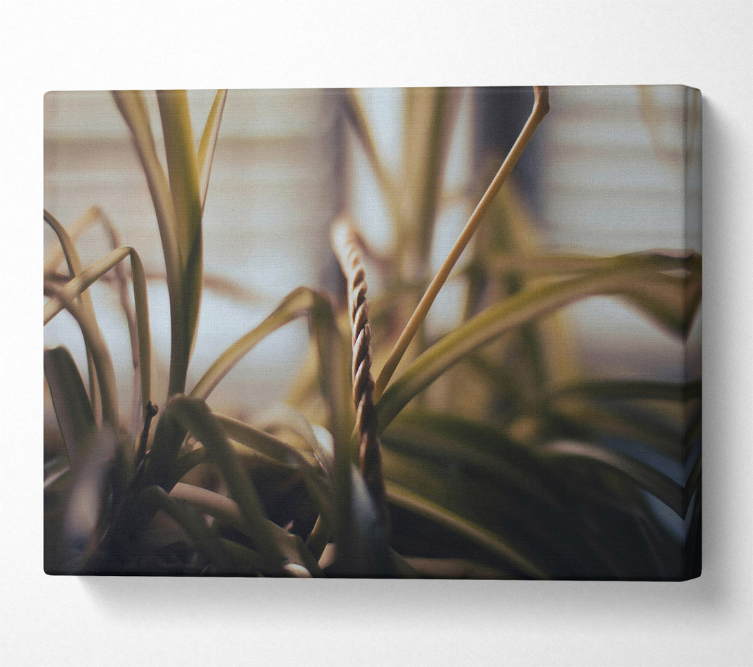  A Canvas Print of Golden Green Embrace Canvas Wall Art