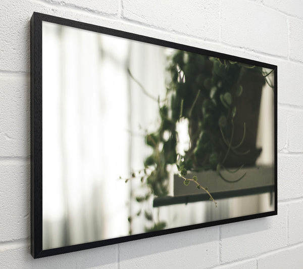 Green Hanging Vine Blur